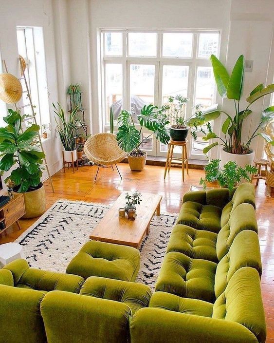 Phong cách nội thất Organic là gì?