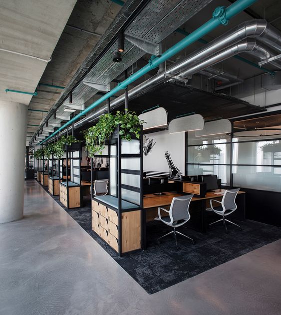 Không gian xanh cũng được ưa chuộng trong thiết kế nội thất văn phòng